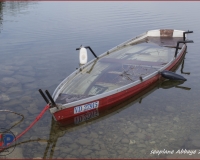 TSR Watermark - 0272